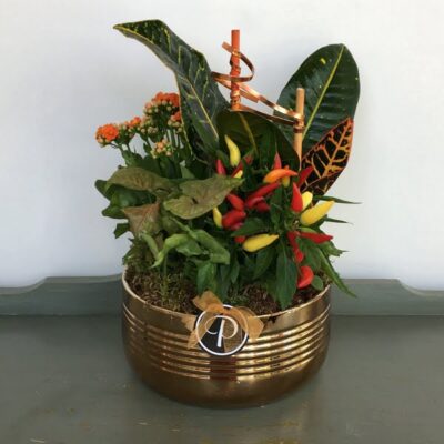 PL020 Autumn Sketches Plants