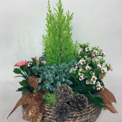 CH020-Christmas Garden Planter