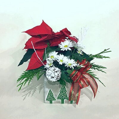 CH042-Christmas Poinsettia Planter