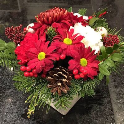 CH057-Val-d'isere Christmas Arrangement