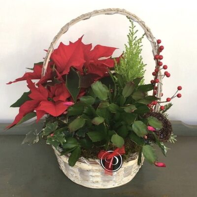 CH069 Christmas Basket