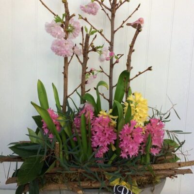 PL028 Garden Glade Plants