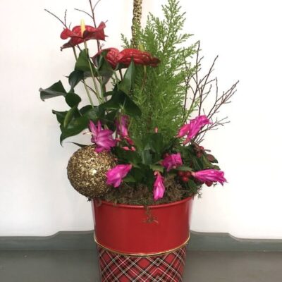 PL030 Malvina Planter Arrangement