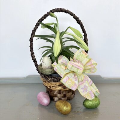 PL040 Easter Lily Plants