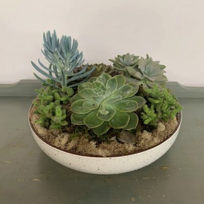 SC024 Country Pond Succulent Planter