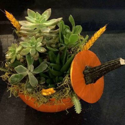 TG004-Succulent In Pumpkin Thanksgiving Flower Arrangement
