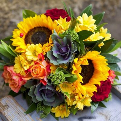 TG024 Hey Ladybug Sunflower