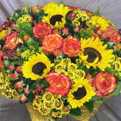 TG030 Golden Times Sunflower