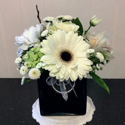 PP019 White Gerbera Arrangement
