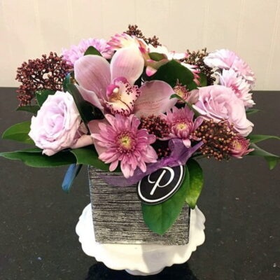 PP023 Pink Cymbidium